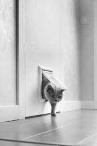 cat flap fitting in Harpenden
